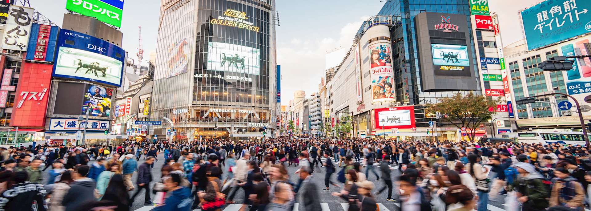 Shibuya Crossing, Tokyo