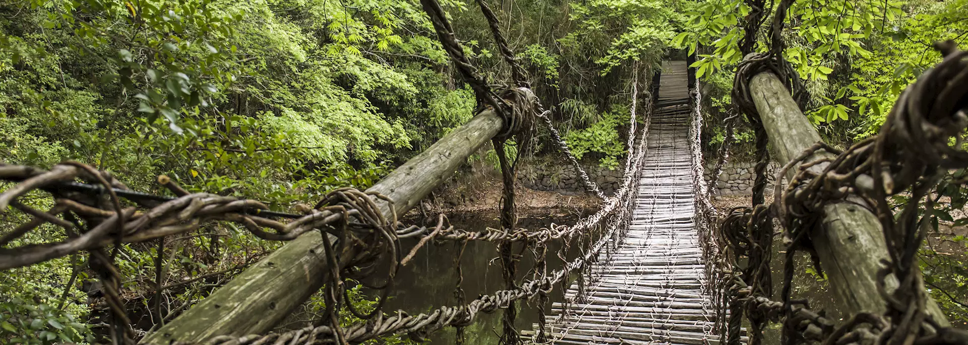 Japan's hidden island: Temples & festivals in Shikoku